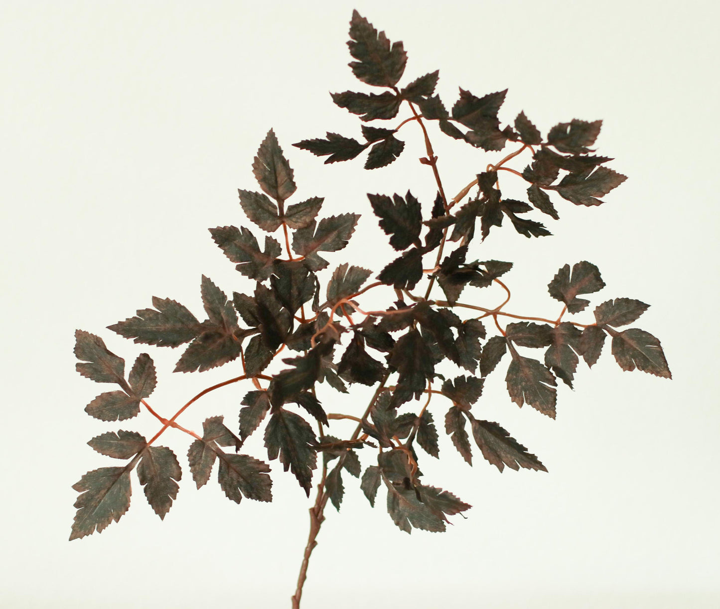 18" Cimicifuga in Dark Plum, Faux Fall Greenery, DIY Centerpiece |Florals |Wedding| Home Decorations |Gifts For Her