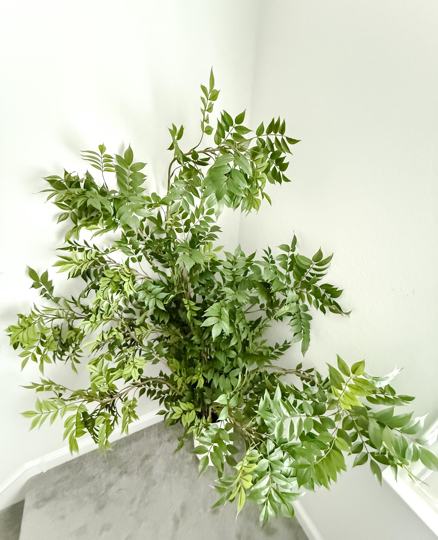 5.4ft Large size Artificial Tree Greenery Branch in Green, Faux Spring Foliage, DIY Centerpiece | Florals | Wedding | Home Decorations