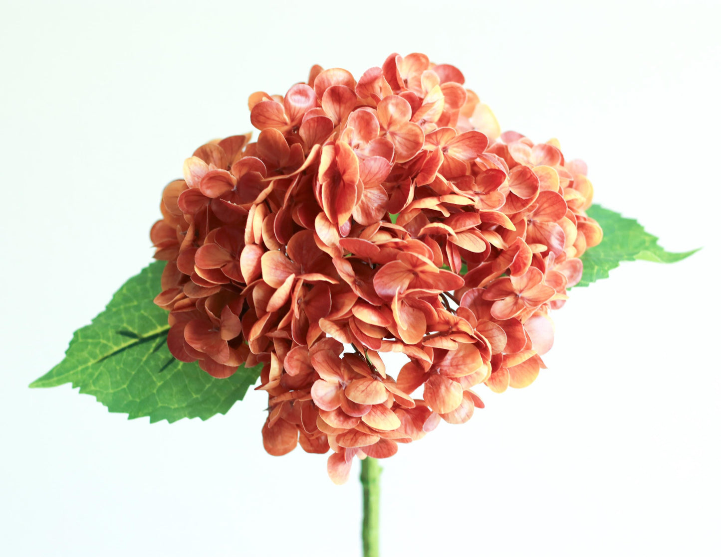20” Artificial Real Touch Hydrangea in Burnt Orange, Faux Fall Flowers, DIY Centerpiece |Florals |Wedding| Home Design