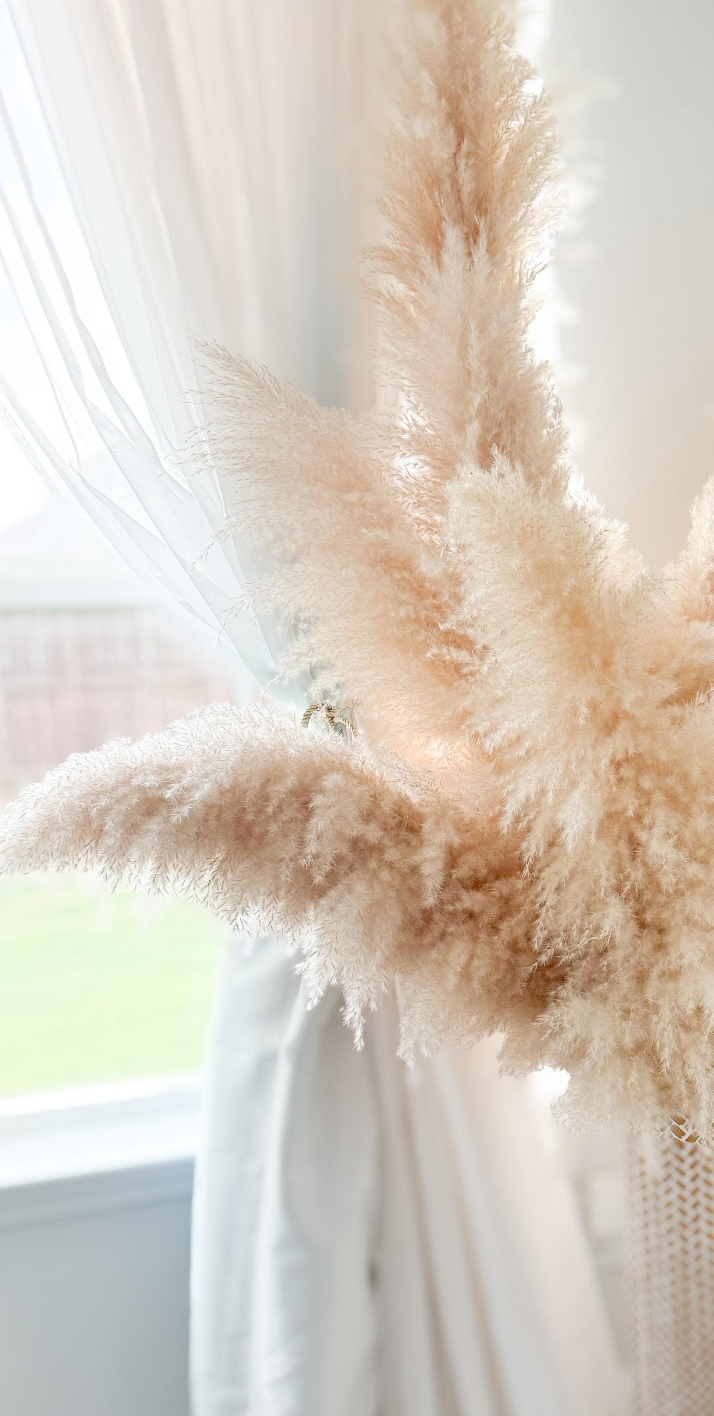 48” Jumbo size set of 10 Real Pampas in Beige color, Fall Flowers, DIY Centerpiece |Florals |Wedding| Home Design