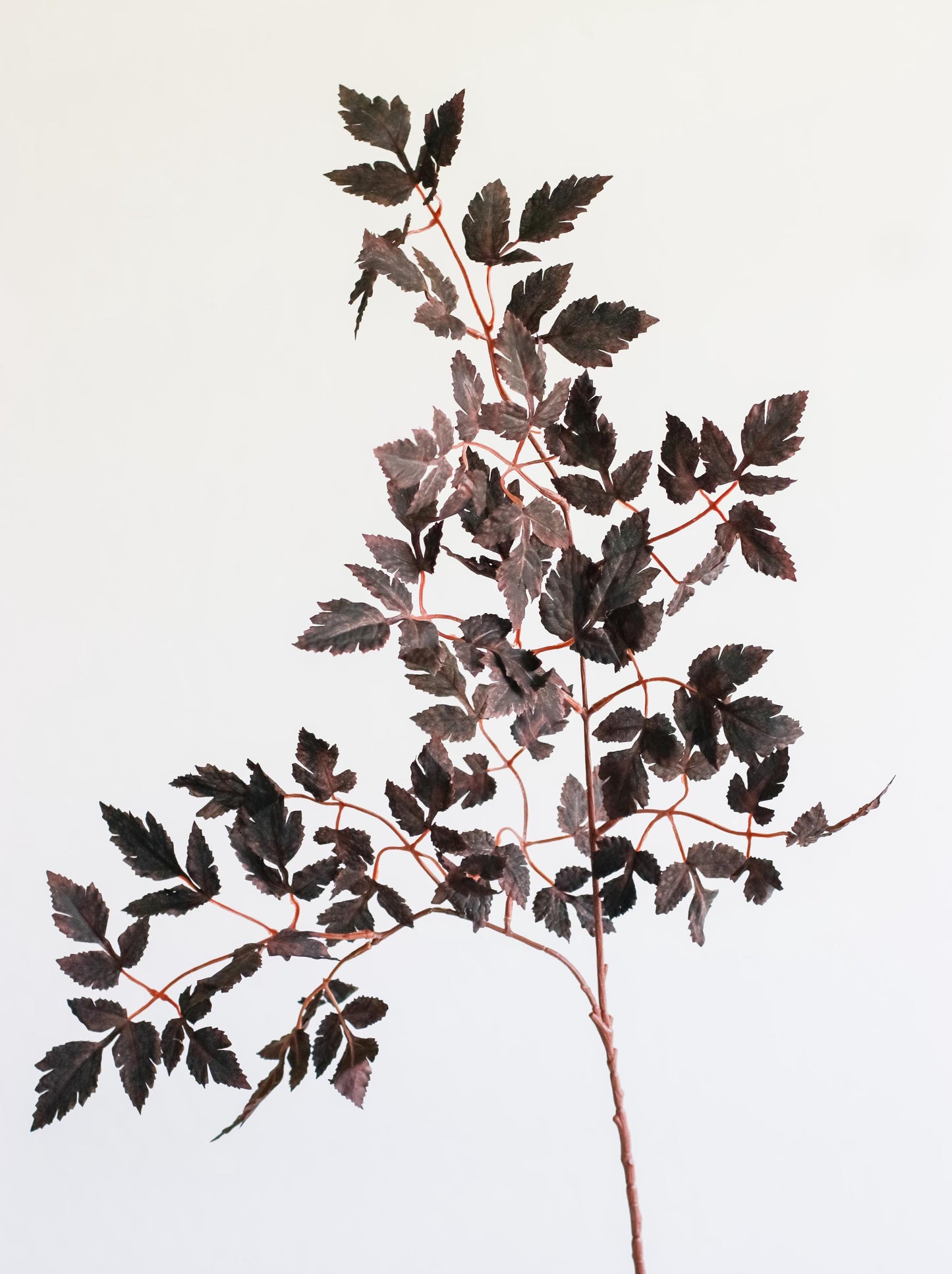 33" Cimicifuga in Dark Plum, Faux Fall Greenery, DIY Centerpiece |Florals |Wedding| Home Decorations |Gifts For Her