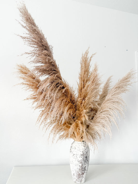 24" Set of 10 Real Pampas in Natural color, Fall Flowers, DIY Centerpiece |Florals |Wedding| Home Decorations |Gifts For Her