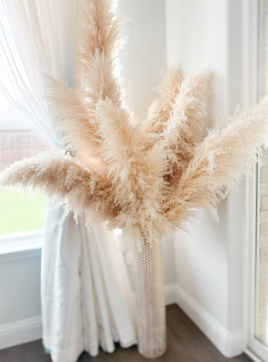 48” Jumbo size set of 10 Real Pampas in Beige color, Fall Flowers, DIY Centerpiece |Florals |Wedding| Home Design